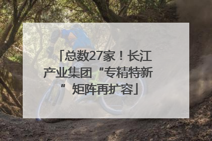 总数27家！长江产业集团“专精特新”矩阵再扩容