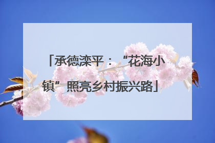 承德滦平：“花海小镇”照亮乡村振兴路