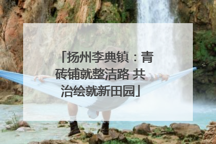 扬州李典镇：青砖铺就整洁路 共治绘就新田园