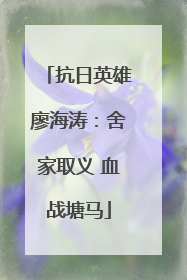 抗日英雄廖海涛：舍家取义 血战塘马