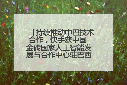 持续推动中巴技术合作，快手获中国-金砖国家人工智能发展与合作中心驻巴西成果转化中心授牌