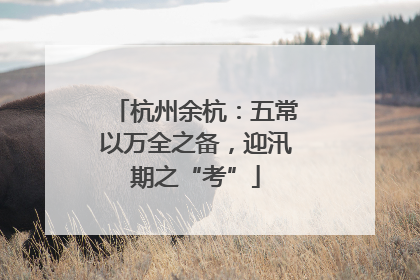 杭州余杭：五常以万全之备，迎汛期之“考”
