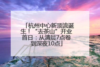 杭州中心新顶流诞生！“去茶山”开业首日：从清晨7点卷到深夜10点