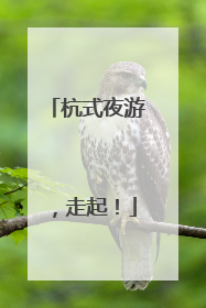 杭式夜游，走起！