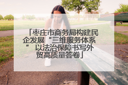 枣庄市商务局构建民企发展“三维服务体系” 以法治保障书写外贸高质量答卷
