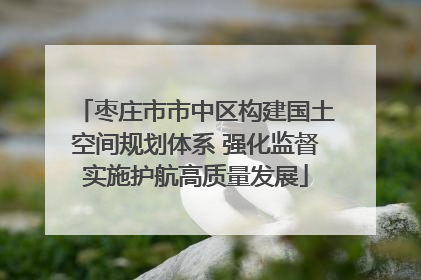 枣庄市市中区构建国土空间规划体系 强化监督实施护航高质量发展