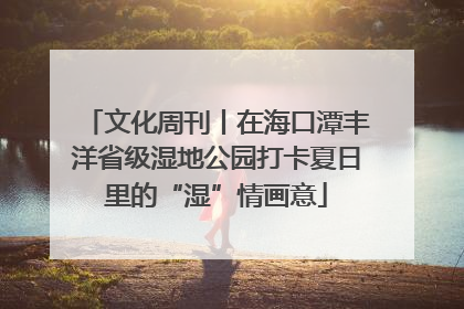 文化周刊丨在海口潭丰洋省级湿地公园打卡夏日里的“湿”情画意