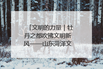 文明的力量｜牡丹之都吹拂文明新风——山东菏泽文明创建一线见闻