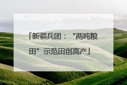 新疆兵团：“两吨粮田”示范田创高产