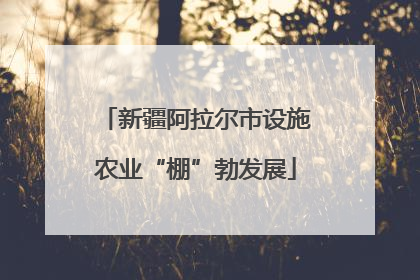 新疆阿拉尔市设施农业“棚”勃发展