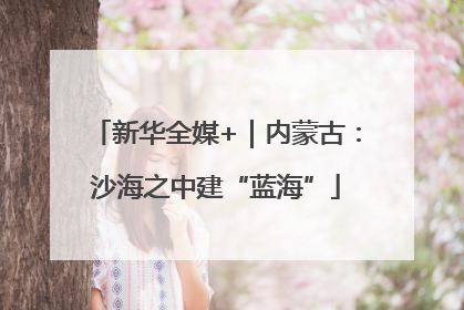 新华全媒+｜内蒙古：沙海之中建“蓝海”
