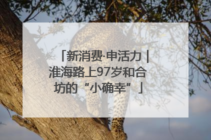 新消费·申活力｜淮海路上97岁和合坊的“小确幸”