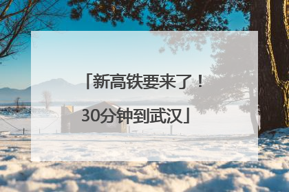 新高铁要来了！30分钟到武汉