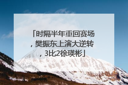 时隔半年重回赛场，樊振东上演大逆转，3比2徐瑛彬