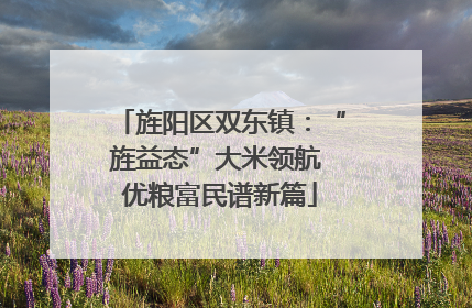 旌阳区双东镇：“旌益态”大米领航 优粮富民谱新篇