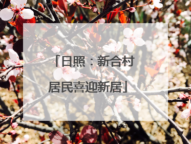 日照：新合村居民喜迎新居