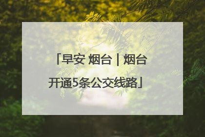 早安 烟台｜烟台开通5条公交线路