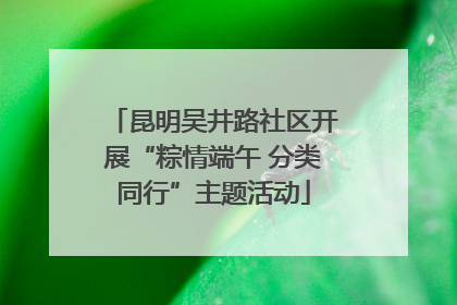 昆明吴井路社区开展“粽情端午 分类同行”主题活动