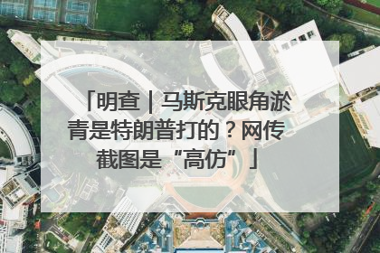 明查｜马斯克眼角淤青是特朗普打的？网传截图是“高仿”