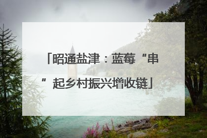 昭通盐津：蓝莓“串”起乡村振兴增收链