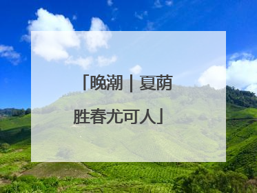 晚潮｜夏荫胜春尤可人