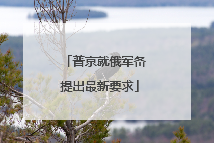 普京就俄军备提出最新要求