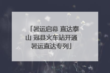 暑运启幕 直达泰山 冠县火车站开通暑运直达专列