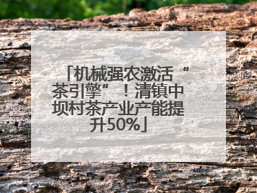 机械强农激活“茶引擎”！清镇中坝村茶产业产能提升50%