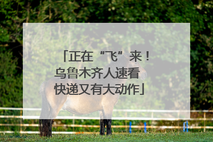 正在“飞”来！乌鲁木齐人速看 快递又有大动作
