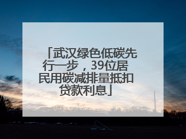武汉绿色低碳先行一步，39位居民用碳减排量抵扣贷款利息