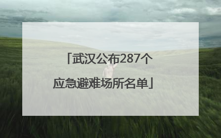 武汉公布287个应急避难场所名单