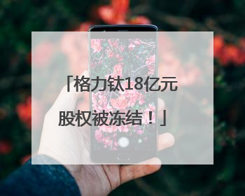 格力钛18亿元股权被冻结！