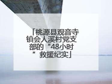 桃源县观音寺镇会人溪村党支部的“48小时”救援纪实
