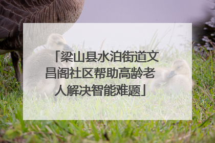 梁山县水泊街道文昌阁社区帮助高龄老人解决智能难题