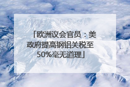 欧洲议会官员：美政府提高钢铝关税至50%毫无道理