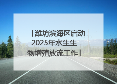 潍坊滨海区启动2025年水生生物增殖放流工作