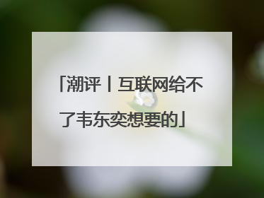 潮评丨互联网给不了韦东奕想要的