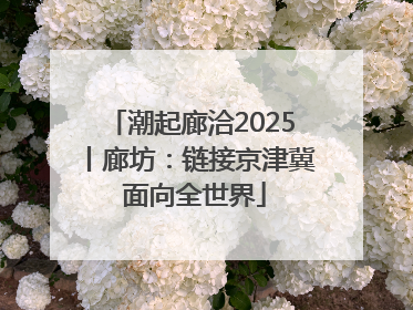 潮起廊洽2025丨廊坊：链接京津冀 面向全世界