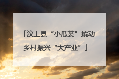 汶上县“小瓜蒌”撬动乡村振兴“大产业”