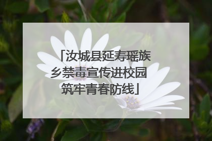 汝城县延寿瑶族乡禁毒宣传进校园 筑牢青春防线