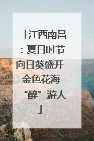 江西南昌：夏日时节向日葵盛开 金色花海“醉”游人