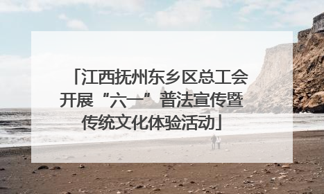 江西抚州东乡区总工会开展“六一”普法宣传暨传统文化体验活动