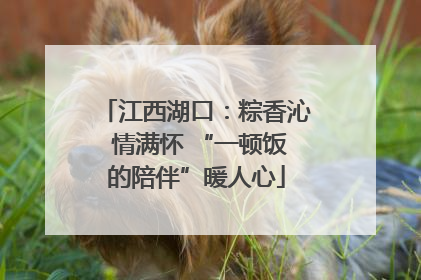 江西湖口：粽香沁 情满怀 “一顿饭的陪伴”暖人心