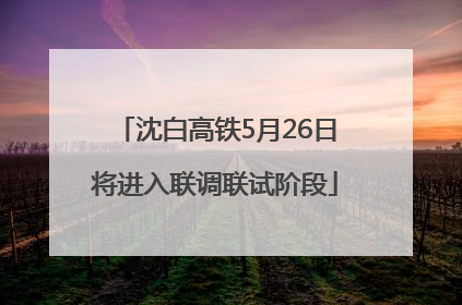 沈白高铁5月26日将进入联调联试阶段