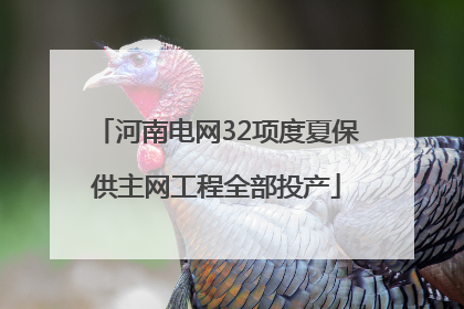 河南电网32项度夏保供主网工程全部投产