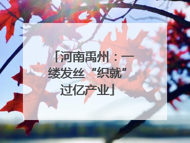 河南禹州：一缕发丝“织就”过亿产业