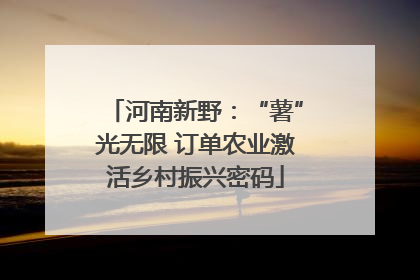 河南新野：“薯”光无限 订单农业激活乡村振兴密码