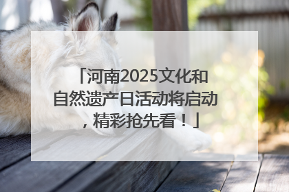 河南2025文化和自然遗产日活动将启动，精彩抢先看！