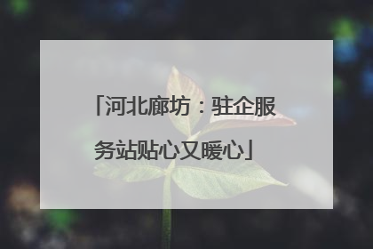 河北廊坊：驻企服务站贴心又暖心