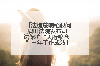 法槌敲响稻浪间 眉山法院发布司法保护“天府粮仓”三年工作成效